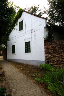 A Káli-medencében található Kékkút egyetlen utcácskájának házai