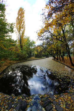 Tata Angolparkja
