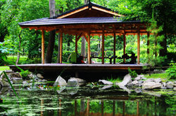 Japánkert Szentendrén