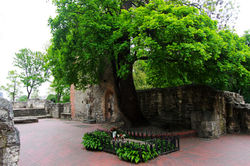 Itt, a Margit-szigeti domonkosrendi apácák kolostorában volt apáca Szent Margit