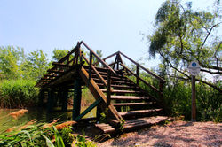 Szigetszentmiklósi úszóláp tanösvény