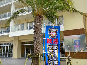 沖縄県にてプロ野球キャンプが始まりました。名護市は北海道日本ハムファイターズのキャンプ地。新庄ビックボスが新監督になり打ち上げ花火やサプライズが盛り沢山。リエッタ中山をはじめスタッフ一同応援してます。