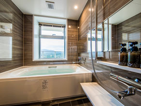 広々としたバスルーム、そしてもう一つシャワー室まで完備。