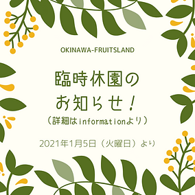 緑、素晴らしい、タイポグラフィ、クリスマス、Instagram、投稿.png