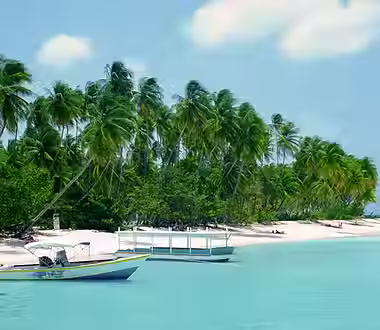 eb1286180d484eff870083cee693b12e (2).avif