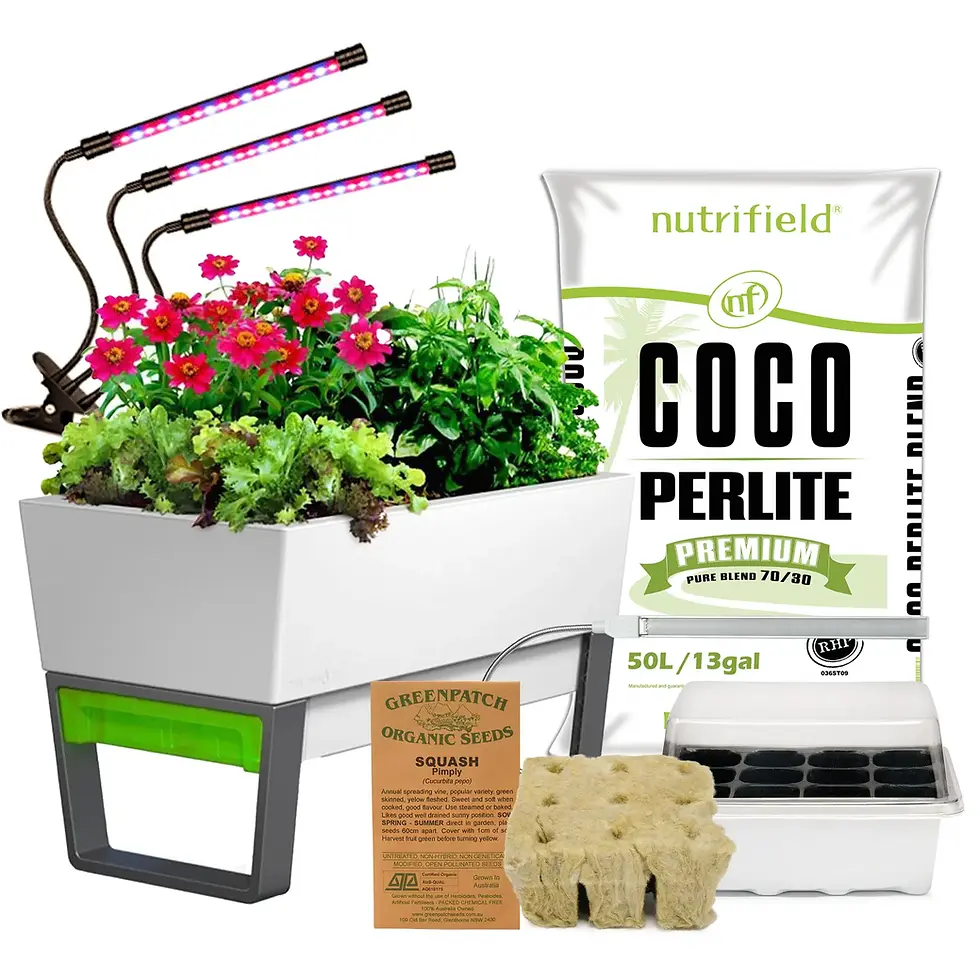 Thumbnail: Self Watering Planter Bundles
