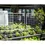 Thumbnail: Foodcube Slim – Compact Wicking Bed Planter
