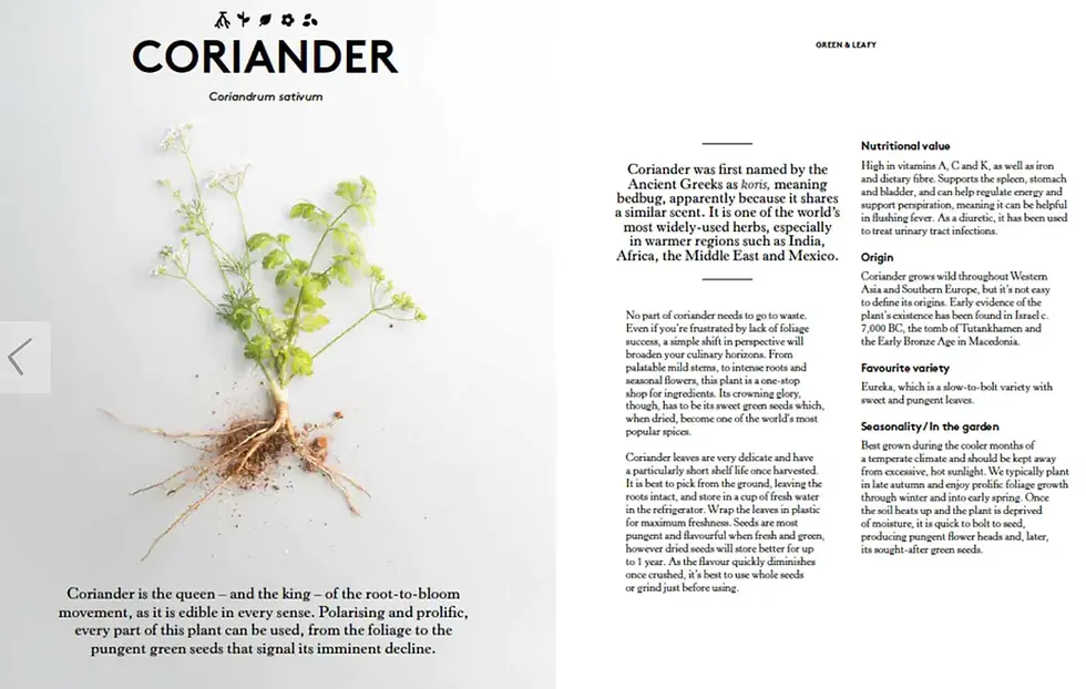 Thumbnail: Root To Bloom - Hardcover Book