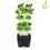 Thumbnail: Starter Vertical Farm Tower Bundle-Electric or Solar