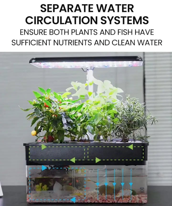 Thumbnail: Mini Aquaponic System
