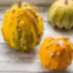 Thumbnail: Organic Vegetable Seeds