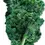 Thumbnail: Organic Leafy Green Seeds- Single pack