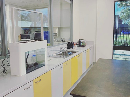 Aquaponics in Schools. Here's why it should be mandatory in every classroom!