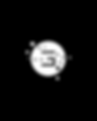 GEMINI LOGO