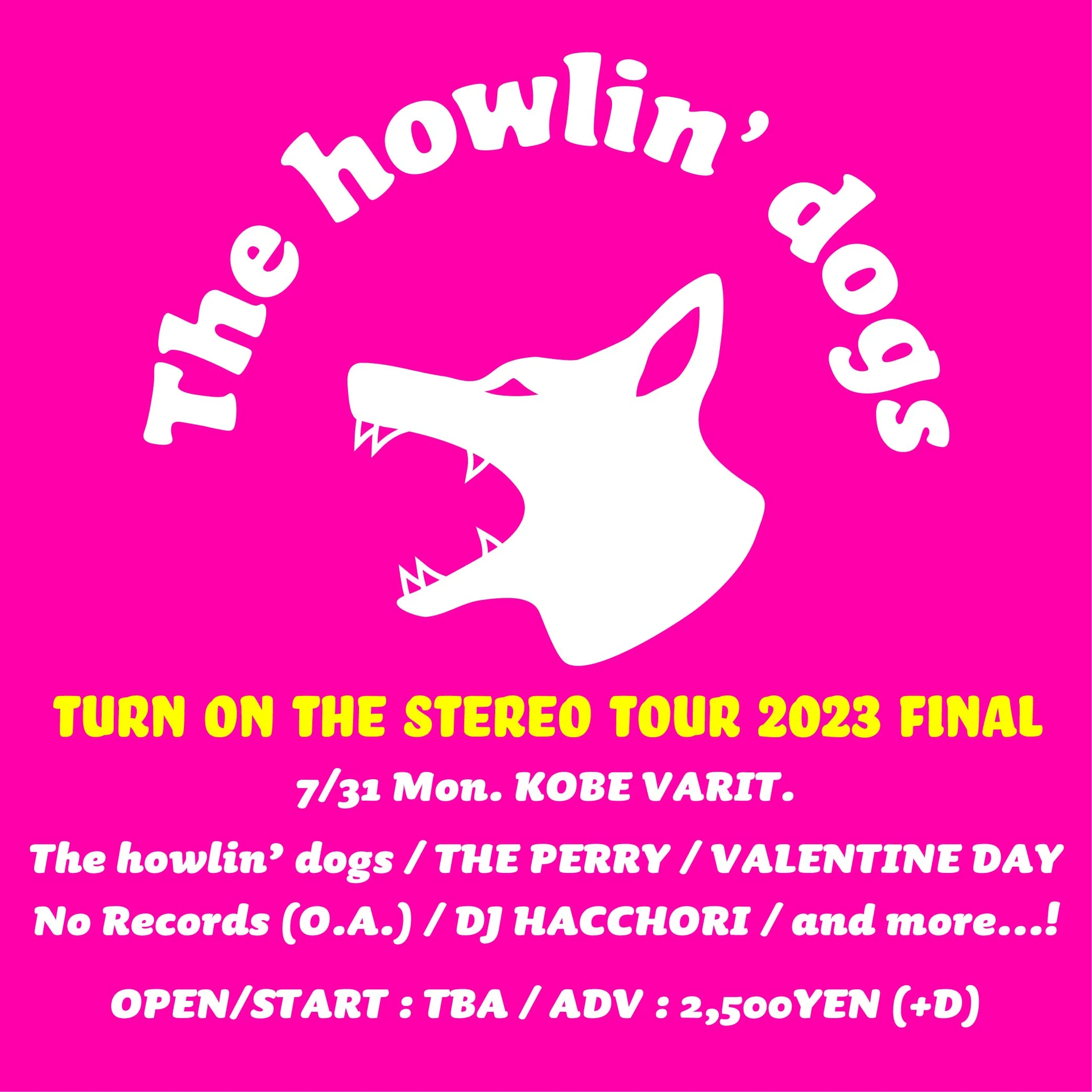 TURN ON THE STEREO TOUR FINAL