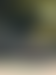 Plan a Luxury Family Hill Station Vacation to Jim Corbett in Summer 2026 with Park Holidays International