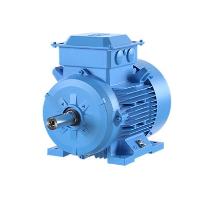 IEC motor by motion.png