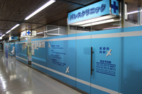 パレスクリニック 多毛症専門外来