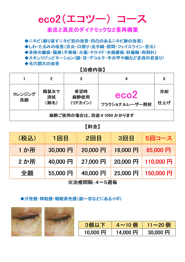 全コース料金表2020-2 改良版 たて順横短.bmp