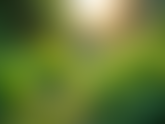 The Importance of Sustainable Living in Today's World