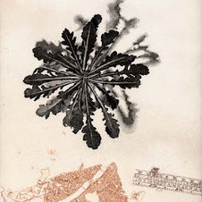 林仁信-版圖系列Ⅱ-1-凹版蝕刻、藍膜版畫-20×25cm- 2006.jpeg