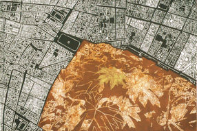 葉脈系列 Ⅲ The Leaf Vein Series Ⅲ 72×48cm 橡膠版 Lino Cut 2001.jpeg