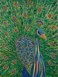 AVES Y ANIMALES / BIRDS AND ANIMALS