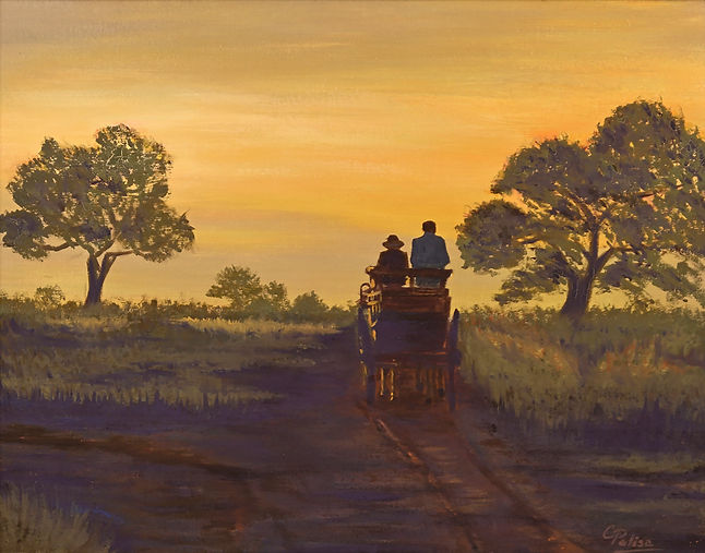UN LARGO CAMINO A CASA