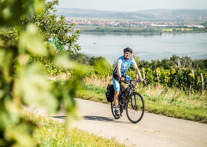 Krajem vína - Na kole a pěšky za vůní Pálavy 2026