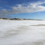 insel amrum