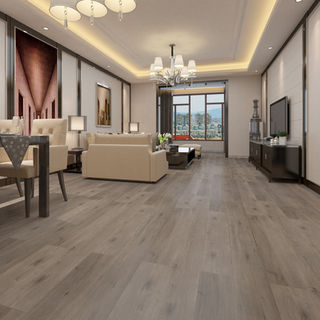 CB020 Grey eur.jpg