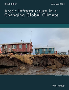 Arctic Governance Brief cover.png