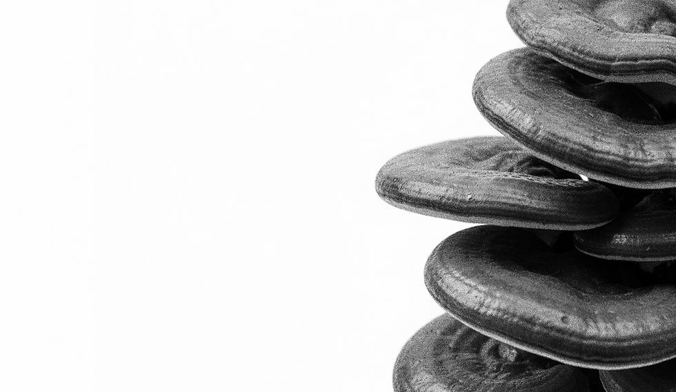 REISHI 1-1.jpg
