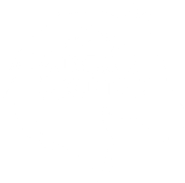 Mustang Mountain_horse trans.png