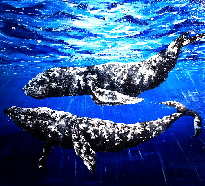 Humpback Whales_edited.jpg
