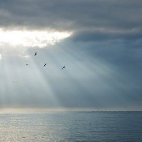 New Testament Lesson 38: Shipwrecks and Lifelines