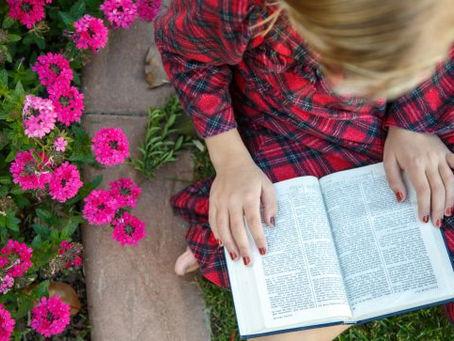 Book of Mormon Lesson 6: Talking About Scriptures That Don’t Talk About You