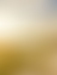 New Testament Lesson 15: Women Who Keep the Lights