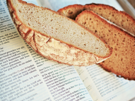 A Companion in Christ