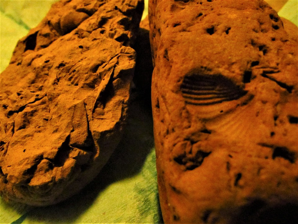 Thumbnail: Fossil Rock