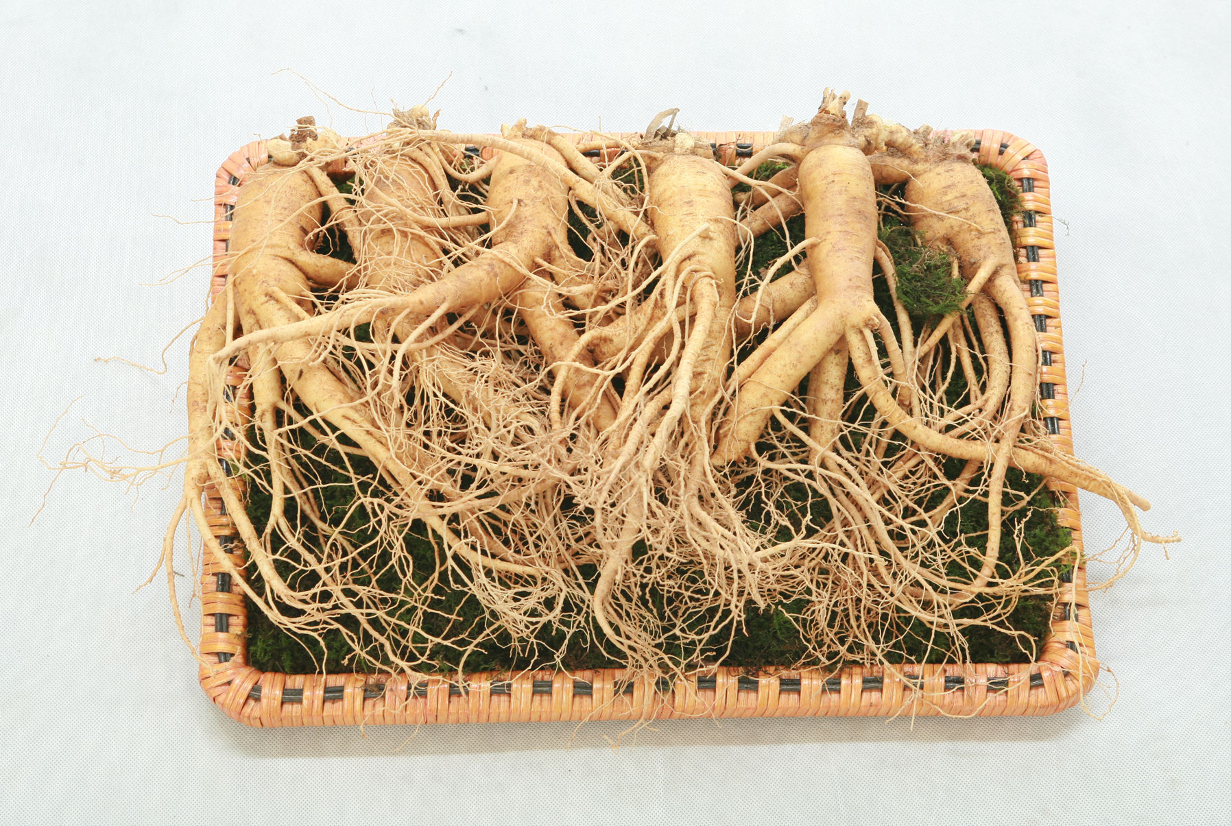 Fresh Korean Ginseng (medium)