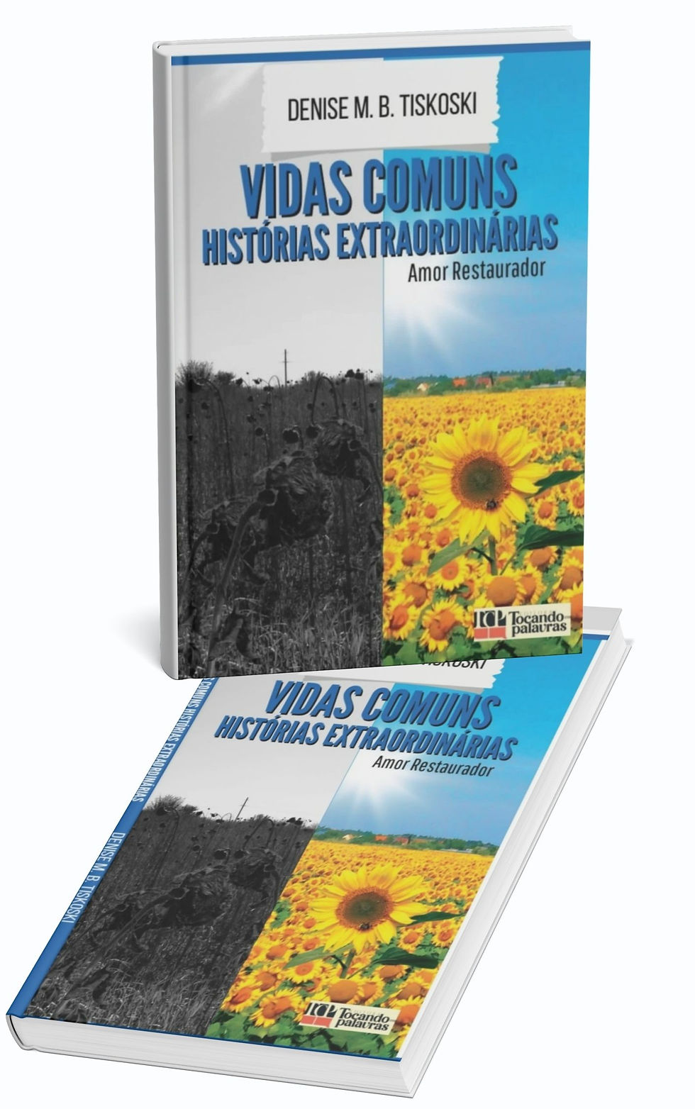 Vidas Comuns, Histórias Extraordinárias - Amor Restaurador