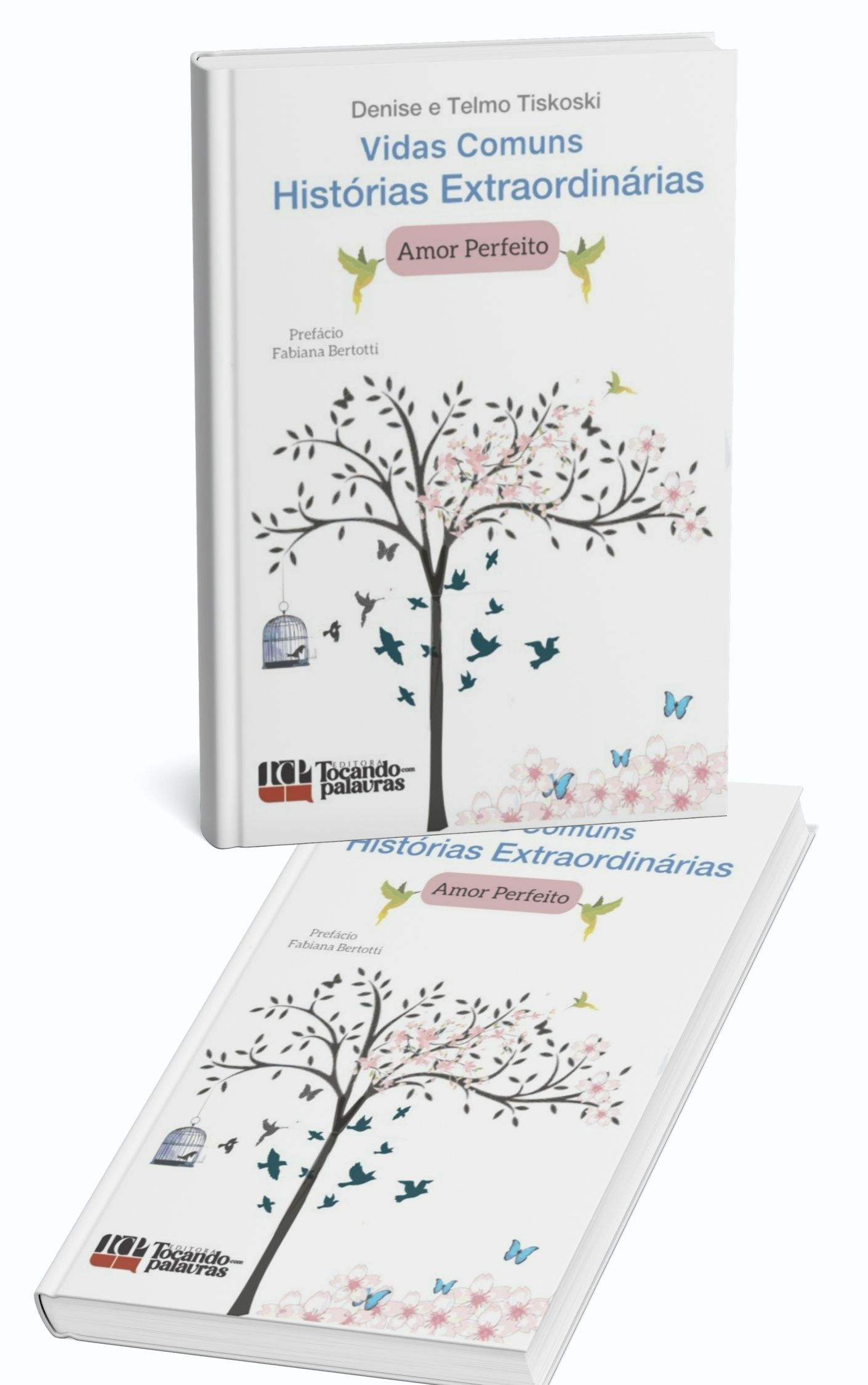 Vidas Comuns - Histórias Extraordinárias, Amor Perfeito