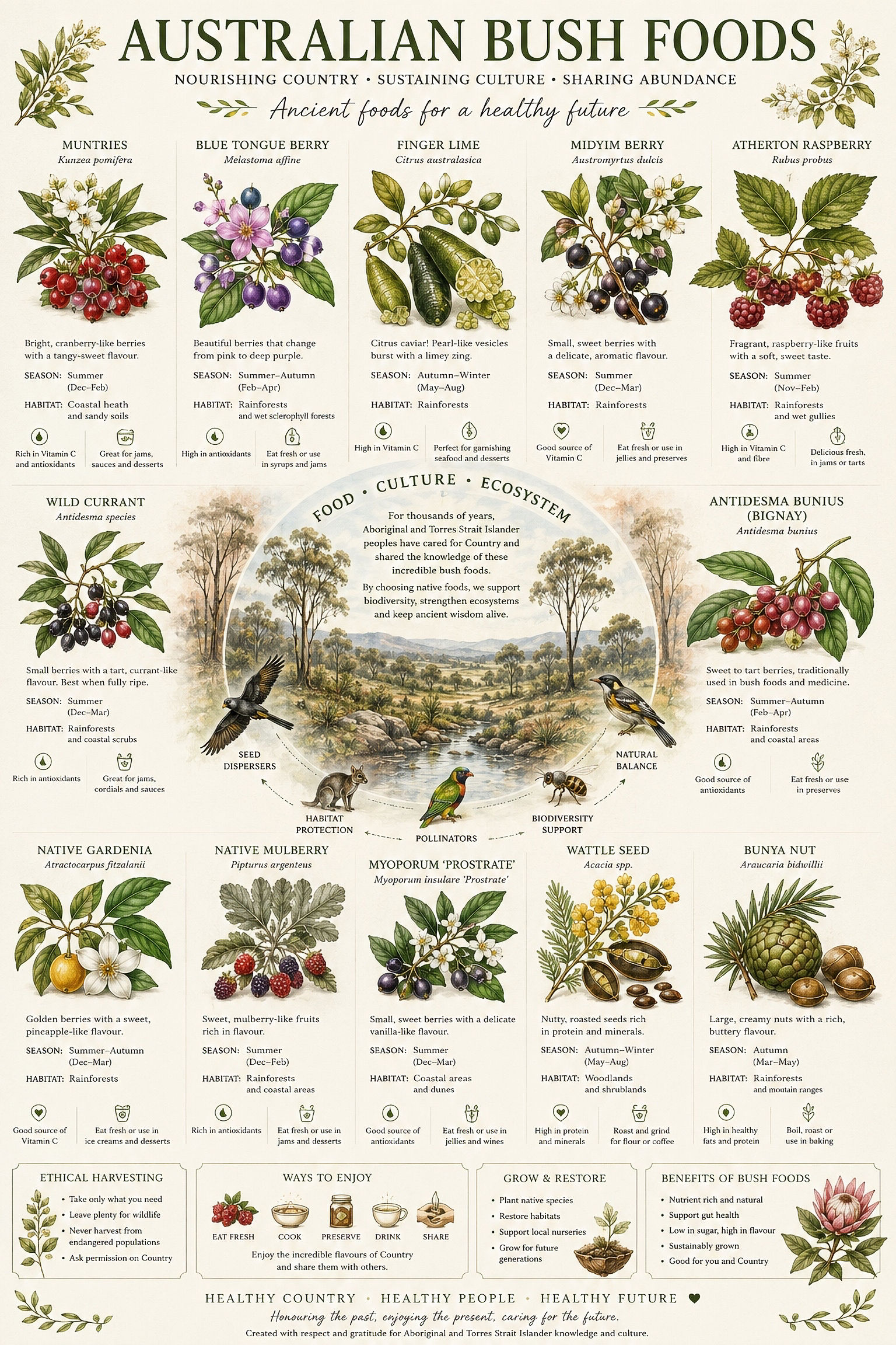 Australian Bushfood Collection Digital Print