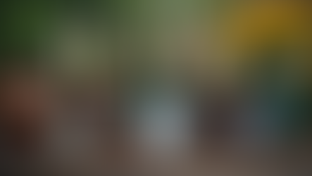 Essential Gardening Tools for Every Enthusiast