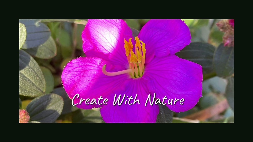 Thumbnail: Australian Bushfood Collection – Printable Botanical Wall Art (Digital Download)