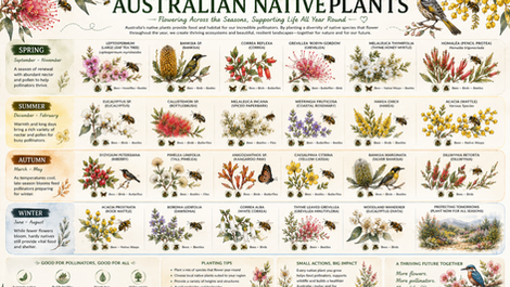 The Habitat Creation Collection