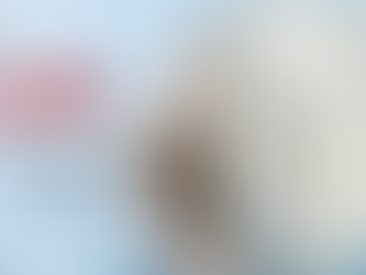 Beneficios de La Leche