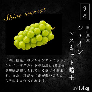 シャインマスカット晴王.jpg