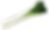 白ネギ.png